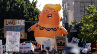 Vor US-Kongresswahlen: "No Kings"-Bewegung ruft zu Protesten auf