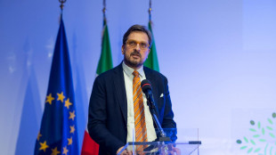 Guidesi a Regioni automotive, avanti su neutralit&agrave; tecnologica