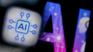 OpenAI, Anthropic y Google buscan crear un organismo de supervisi&oacute;n de riesgos de la IA