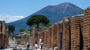 Pompeya establece un l&iacute;mite de 20.000 visitantes por d&iacute;a