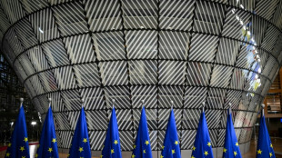 EU states agree broad UN emissions target avoiding 'embarrassment'