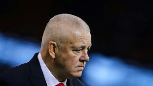 Gatland upbeat despite Ireland defeat on Wales return