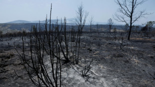 Waldbrand au&szlig;er Kontrolle: 3500 Menschen in Gemeinde westlich von Madrid evakuiert