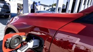 Sono gi&agrave; finiti i fondi degli incentivi per le auto elettriche