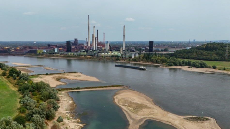 Niedrigwasser im Rhein: Unternehmen weichen auf Schiene und Lkw aus