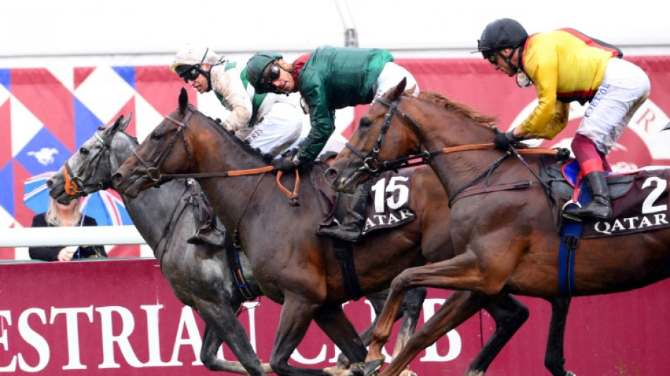 Arc-winning jockey Soumillon given the elbow by Aga Khan