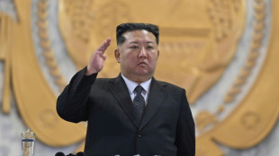 US, Japanese firms unwittingly hired North Korean animators: report