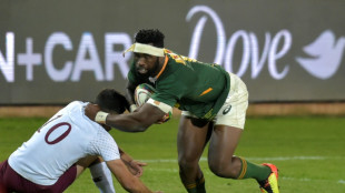 'Too early' to say if Kolisi will make World Cup - union