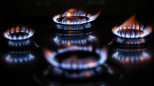 I futures su gas corrono in discesa a 85,39 euro al megawattora