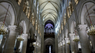J-4 avant l'ouverture des portes de Notre-Dame reb&acirc;tie
