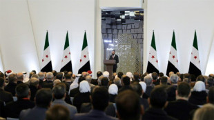 Le pr&eacute;sident syrien promet le "monopole" des armes aux mains de l'Etat