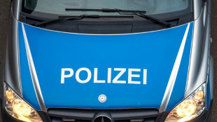 Frau und Hund sterben bei Zugungl&uuml;ck in Hessen