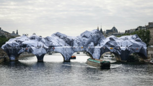 'French Banksy' and Daft Punk star turn Paris bridge into Alpine cave