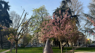 Teatro No'hma Teresa Pomodoro ambasciatore cultura a Expo Osaka