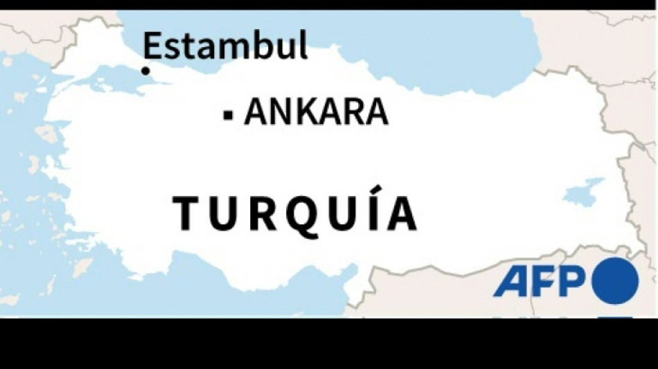 Al menos nueve muertos y 26 heridos en un accidente de autob&uacute;s en Turqu&iacute;a