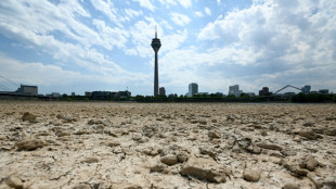 2022 Europe's hottest summer on record: EU monitor
