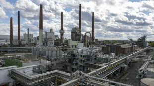 Chemicals firm BASF urges EU to cut red tape as profit dips