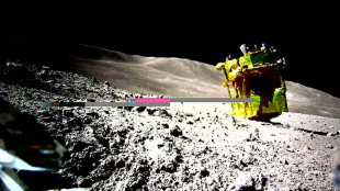 Le module spatial japonais a aluni avec un très haut degré de précision