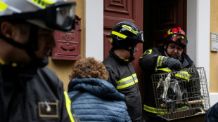 En Sicile, des perroquets mis &agrave; l'abri apr&egrave;s le spectaculaire glissement de terrain
