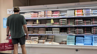 EEUU informa que retiraron 19 millones de huevos del mercado por riesgo mortal
