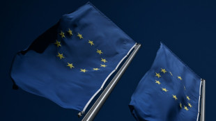 Irish slump drags eurozone economy into red