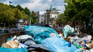 L'espace public d&eacute;grad&eacute; de Berlin au coeur de la campagne &eacute;lectorale