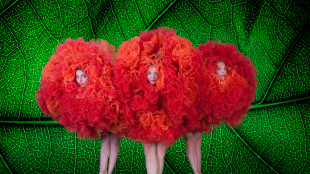 Weekend a teatro con Della Rosa, Angiolini e Fresi