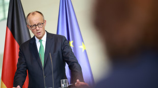 Merz, l'Ue non è competente sul sostegno militare a Kiev