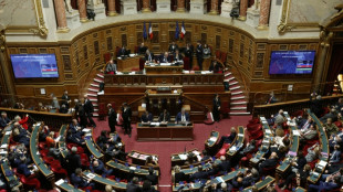 Budget: le Sénat s'oppose à la surtaxe sur les entreprises