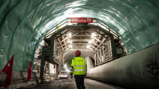 Webuild cresce a doppia cifra oltre stime, ricavi a 6,7 miliardi