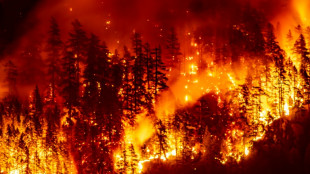 Los incendios forestales deterioran la calidad del aire a grandes distancias, según la ONU 