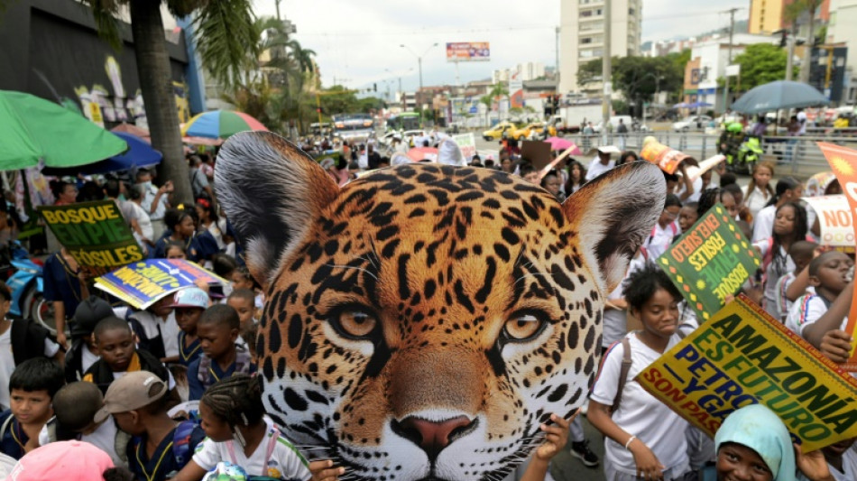'Zona Verde', o cora&ccedil;&atilde;o vibrante da COP16 em Cali