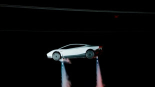 Musk d&eacute;voile sa Tesla "volante", sans succ&egrave;s garanti