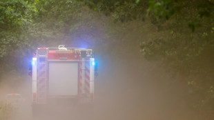 Hunderte Feuerwehrkr&auml;fte bei Waldbr&auml;nden in Brandenburg und Sachsen im Einsatz