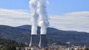 L'Italia aderisce all'alleanza Ue sul nucleare