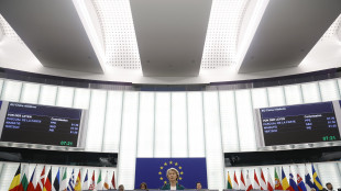 Eurocamera presenta ricorso alla Corte contro iter Rearm Eu