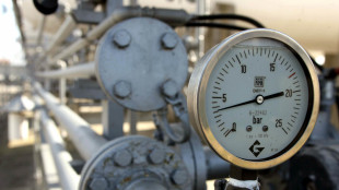 Il prezzo del gas &egrave; in calo a 85,9 euro al megawattora