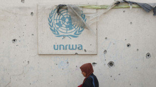 Membros do Conselho de Seguran&ccedil;a advertem Israel contra leis que podem proibir UNRWA