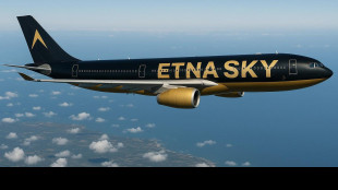 Deputato, 'nasce 'Etna Sky' una compagnia aerea siciliana'