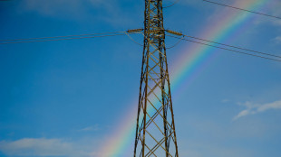 Istat, il fatturato delle industrie energetiche a maggio +28,6% annuo