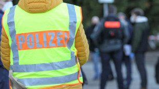Gro&szlig;razzia wegen Drogen in Kiel: 400 Beamte durchsuchen Objekte in Stadtteil Gaarden