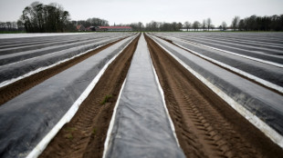 Deutsche Bauern ernten 2024 gut sechs Prozent mehr Gem&uuml;se
