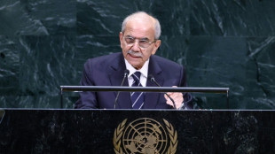 L&iacute;bano carece de medios para reconstruir el sur tras las guerras con Israel, dice su primer ministro