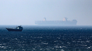 Parlamento Iran approva l'introduzione del pedaggio per le navi a Hormuz