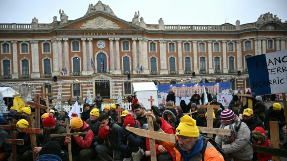 Dermatose: manifestation "symbolique" de l'intersyndicale agricole &agrave; Toulouse