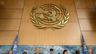 Una misi&oacute;n de la ONU cree que EEUU cometi&oacute; cr&iacute;menes de guerra en Ir&aacute;n