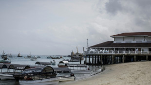 En Tanzanie, tourisme au ralenti après les massacres des élections