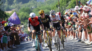 Tour de France: une marée humaine "omniprésente" sur le bord des routes