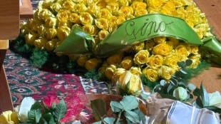 Cuscino rose a forma di cuore, l'omaggio di Gino Paoli a Vanoni