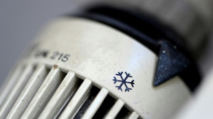 Wirtschaftsverb&auml;nde begr&uuml;&szlig;en Habecks geplante &Auml;nderungen am Heizungsgesetz